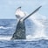 The flukes of 2 humpback whales rising out of the ocean waters